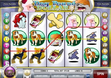 Animal Themed Slots at Da Vincis Gold Casino