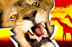 Win a Kenyan Safari with Casino.com