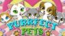 Slot Purrfect Pets Coming Soon At Springbok Casino